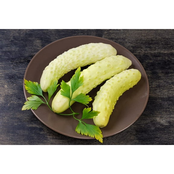 Itachi White Cucumber Heirloom Premium Seeds for Planting Packet
