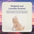 thumbnail image 3 of Peluche de cabra Warmies, 33 cm, con aroma a lavanda, 3 of 6