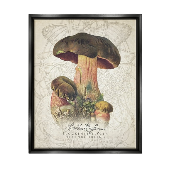 Stupell Industries Vintage German Nature Mushroom Botanical & Floral Painting Black Floater Framed Art Print Wall Art