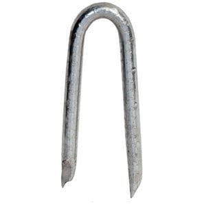 Staples, Bright, 1-1/4 In., 1 Lb. - 461630