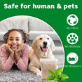 thumbnail image 2 of Vamoo 30 Pack Rodent Repellent Peppermint Oil to Repels Mice and Rats Squirrel and Other Rodents for Home Garages RV Closets Trucks Car Engines, Mouse Deterrent for Keep Mice Out, 2 of 7