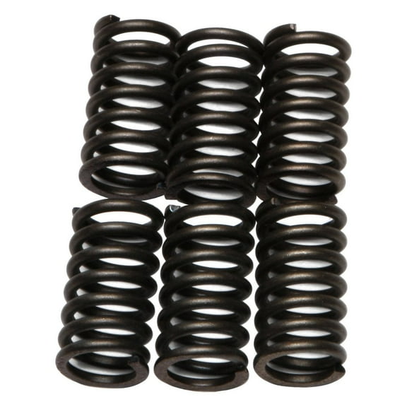 EBC CSK Series Heavy Duty Clutch Spring Kit