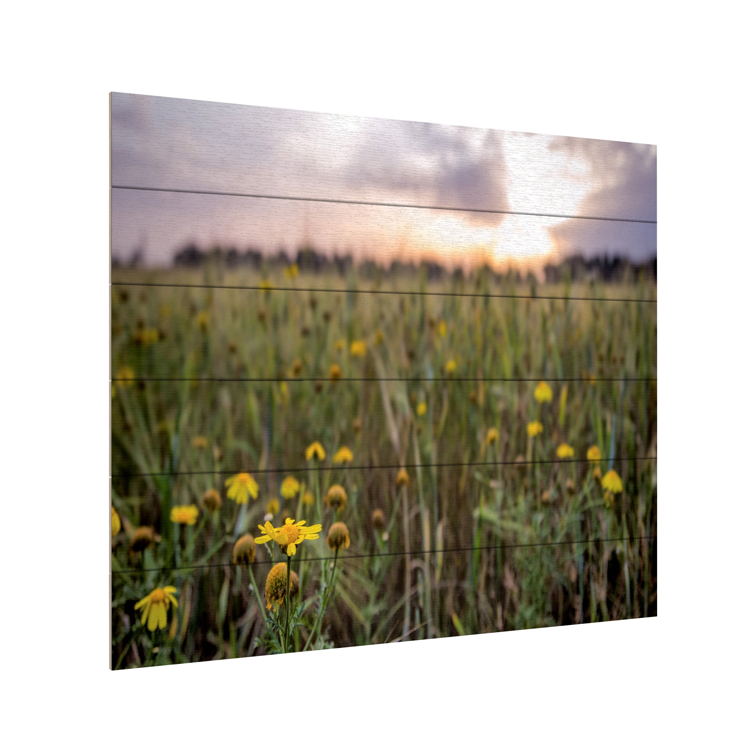 Giuseppe Torre 'Flowers In The Sunset' Wood Slat Art 18x22