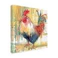 thumbnail image 2 of Trademark Fine Art 'Proud Plumage' Canvas Art by Annelein Beukenkamp, 2 of 3