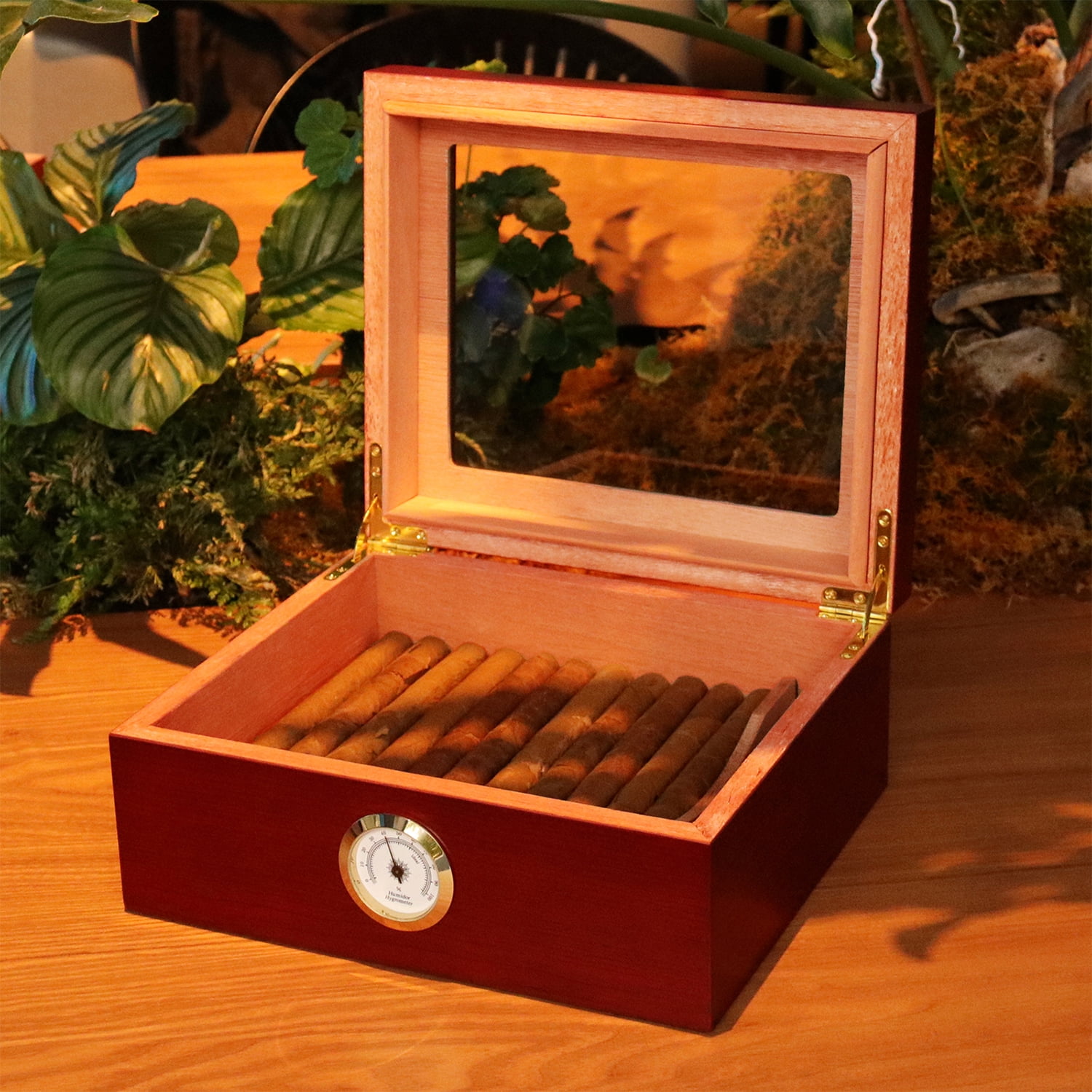 Jansfuren Cigar Humidor, Glass Top Handcrafted Cedar Humidor, Desktop Humidifier Storage Box with Hygrometer for 25-50 Cigars, Handcrafted Rosewood Finish, Gift for Men