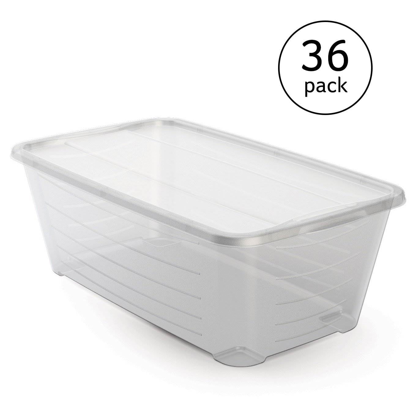 Life Story 5.5 Quart Protective Clear Plastic Storage Shoe Box w/ Lid