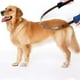 thumbnail image 5 of Cepillo de afeitar para el pelo de mascotas y depilación de perros | Peine para mascotas con asa ergonómica | Herramienta de peluquería para gatos y perros | Diseño desmontable fácil de limpiar, 5 of 7