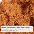 thumbnail image 4 of Uxcell 3pcs 1.26 OZ Moss Fake Craft Moss Artificial Moss Natural Preserved Moss for Craft Arts Floral (Orange), 4 of 6