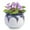 Red-White, variant on 6 inch Ceramic Self-Watering African Violet Pot , Kiln Glazed Blue & White,1 Pack