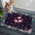 thumbnail image 3 of 2x3 Ft Entryway Area Rug, Pink Flamingo Kitchen Rug Runner Washable Floor Mat, Green Summer Tropical Botanical Black Non Slip Indoor Door Mat Throw Carpet for Bathroom Living Room Bedroom, 3 of 8