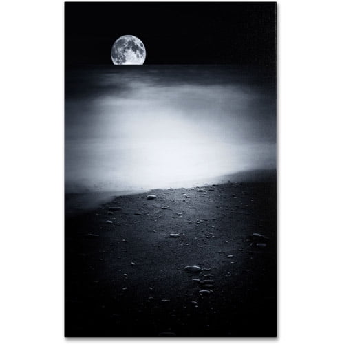 Trademark Fine Art "Black Sweat" Canvas Art by Philippe Sainte-Laudy