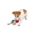 thumbnail image 3 of One Paw, Candy Cane Holiday Tennis Ball Set, Dog Toy, Festive Fetch Fun, Nylon, 3 of 4