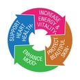 thumbnail image 6 of Bluebonnet Ladies’ ONE 40+ Whole Food-Bed Multiple, Multivitamin for Women 40+, 60 Days, 6 of 7
