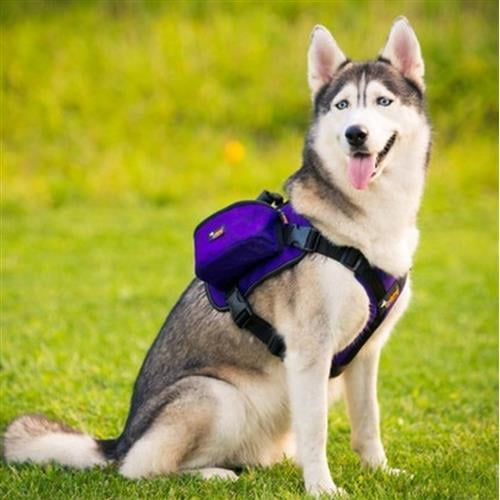 large dog backpack harness