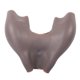 thumbnail image 2 of Fajas de silicona para glúteos Pantalones de silicona Pantalones de silicona ANGGREK  Otros, 2 of 7