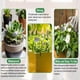 thumbnail image 5 of 10 Etiquetas de Acero Inoxidable Tipo T para Plantas, Arbustos, Árboles, Semillas, Etiquetas Grabables para Viveros y Macetas para Jardinería., 5 of 5