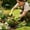 Green782, variant on Gardening Gloves, Waterproof Work Gloves, Puncture Resistant Grip Gloves for Outdoor Planting Yard Weeding Digging in Four Colors
