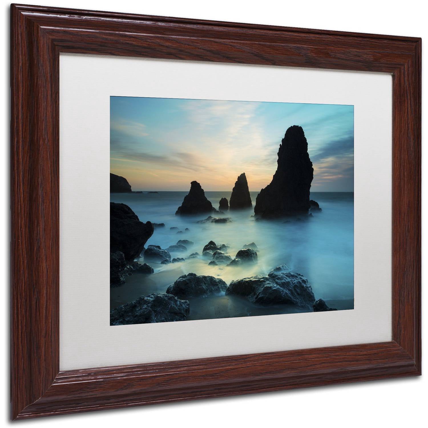 Trademark Fine Art "Rodeo Beach I" Canvas Art by Moises Levy White Matte, Wood Frame