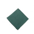 thumbnail image 1 of AG-31317S-4 Torchons &44; Mousse Verte - Lot de 4, 1 of 1