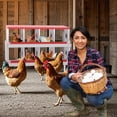 thumbnail image 3 of Qinaqin Rojo 8 cm de Alturaole Chicken Nesting Caja con Soporte Legs Perch Metálico Roll Away Eggs Laying Cajas y Versatile Anchoall Mount para Chickens, 3 of 7