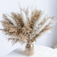 thumbnail image 2 of Pampas Grass Decor dreid Flowers Fluffy pompas Grass vase Filler White Pampas Wedding Boho deocr, 2 of 6
