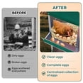 thumbnail image 2 of QinaQin Caja nido para gallinas de 6, 8 o 10 compartimentos con patas de soporte, diseño fácil de limpiar e instalar para proteger huevos, 2 of 7