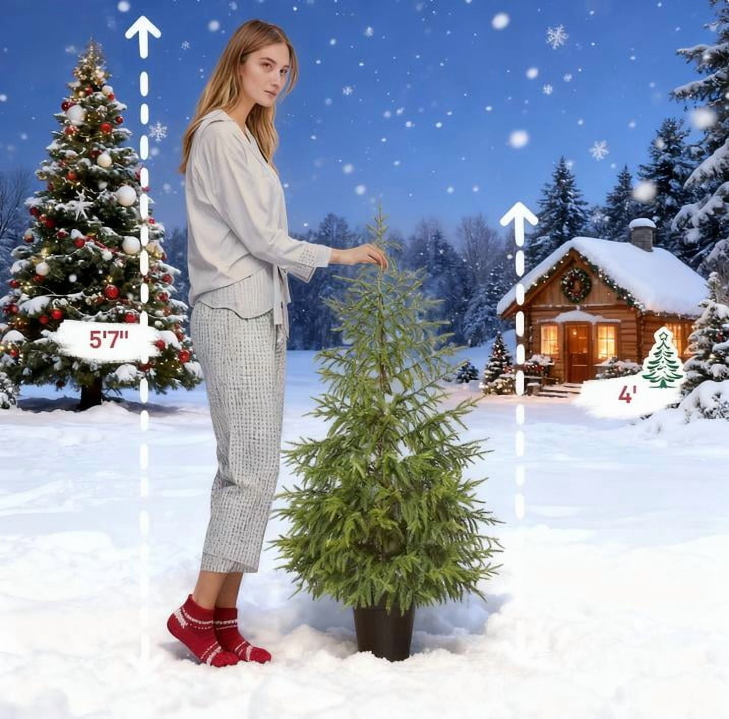 Set of 2 4ft Norfolk Pine Christmas Trees 133 Tips Each Flame Retardant Pot Base Indoor Covered Outdoor Decor
