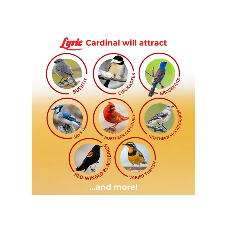 Lyric Cardinal Sunflower & Safflower Mix Wild Bird Food, 3.75 Lb photo 4
