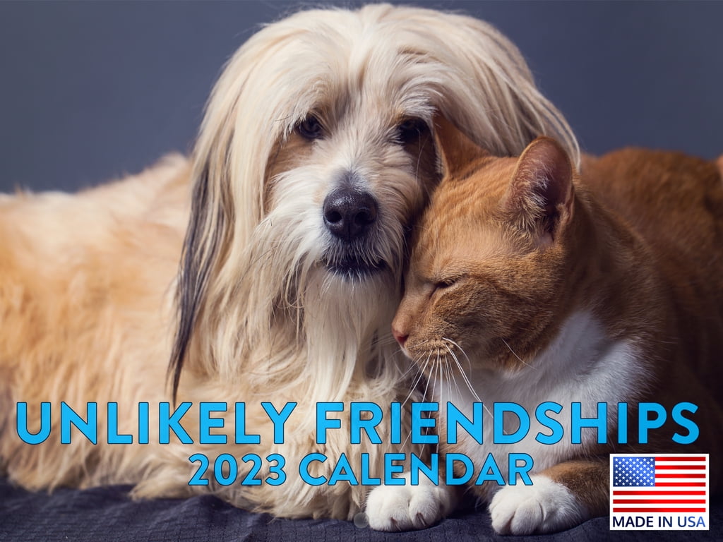 unlikely-friendships-calendar-2023-monthly-wall-hanging-calendars-cute