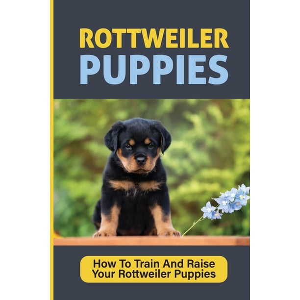 Are Rottweiler Puppies Easy To Train