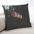 thumbnail image 1 of Ahgly Company Culture Asian Coussin d'Intérieur, 18 Pouces par 18 Pouces, 1 of 6