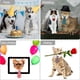 thumbnail image 4 of 4 piezas de corbata para mascotas, corbata ajustable para perros y gatos, collar Formal para perros, corbata a rayas para perros pequeños y gatos, 4 of 5