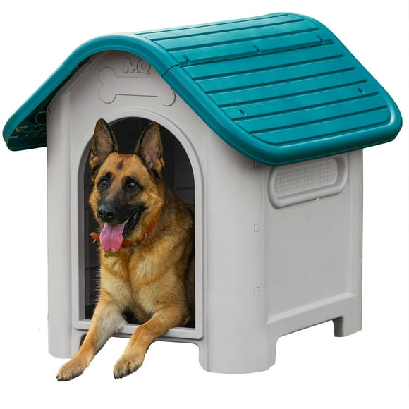 Casa Para Perro Grande Turquesa