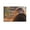 Unframe-style, variant on Eagle Theme Motivational Inspirational Positive Quote If They Stand behind You Protect Them Gifts Canvas Painting Poster Wall Art Decorative Picture Prints Modern Decor 24x36inch(60x90cm)