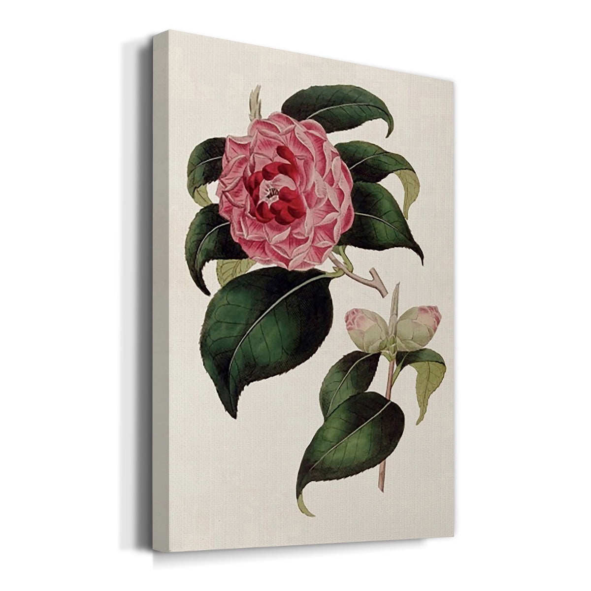 Pink Floral Mix III Premium Gallery Wrapped Canvas - Ready to Hang