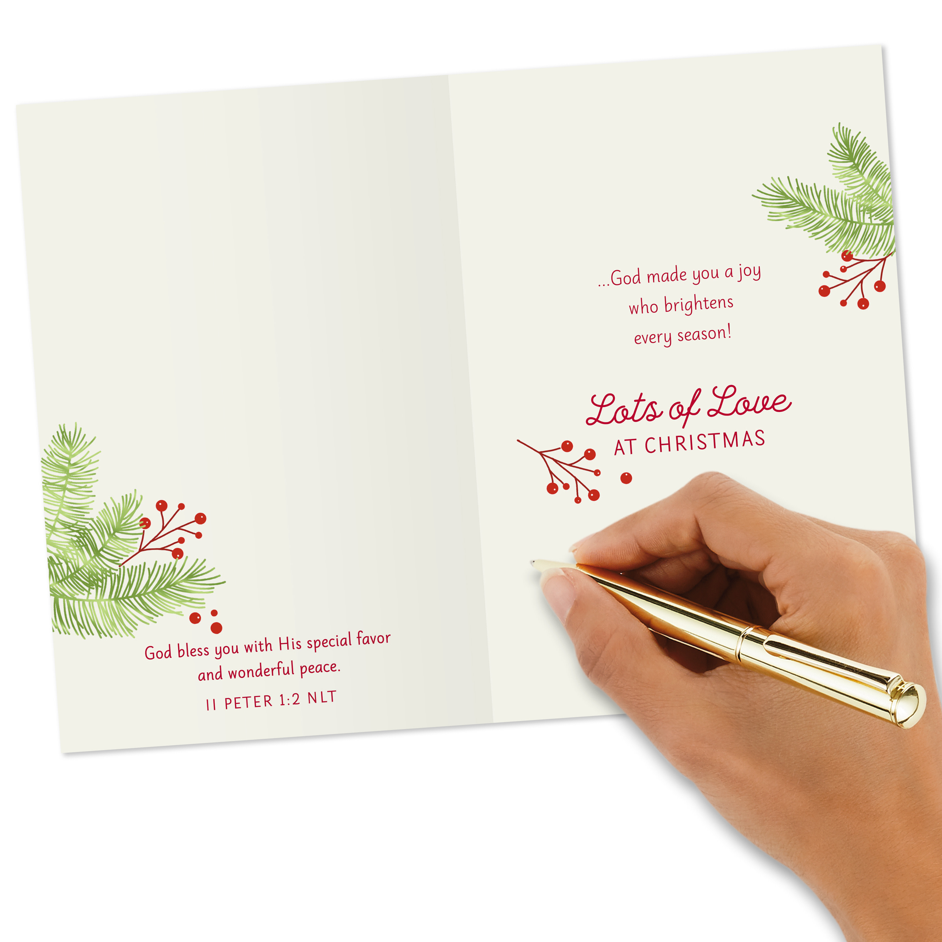 DaySpring Religious Christmas Greeting Card for Godson (God Made You a Joy)
