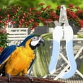 thumbnail image 1 of Cortaúñas para loros Jadeshay Hoja de Acero inoxidable Con protector de seguridad, 1 of 8