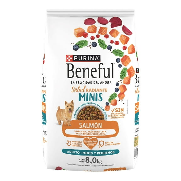 Alimento seco para perro Purina Beneful Adulto Minis Salmón 8kg