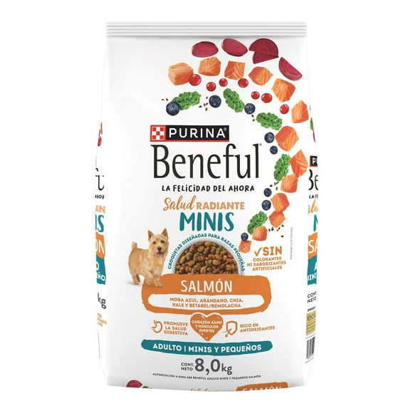 Alimento seco para perro Purina Beneful Adulto Minis Salmón 8kg
