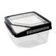 thumbnail image 1 of de Plástico Fuerte, , Tarántula, Tortuga, Caja de Cría de Tortugas, Caja de Alimentación, Caja de Cría, Contenedor, de Acuario Sunnimix Reptile Vivarium Terrarium, 1 of 6