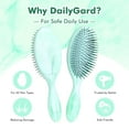 thumbnail image 6 of Daily Gard Detangling Wet Hair Brush Set for Women and Girl, Ultra Soft-Nylon Bristles Detangler Brush for All Hair Types, Green, Idea Gift, 6 of 8