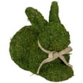 thumbnail image 2 of Northlight 11" Moss Sitting Bunny Rabbit Spring Easter Figure - Green/Tan, 2 of 7