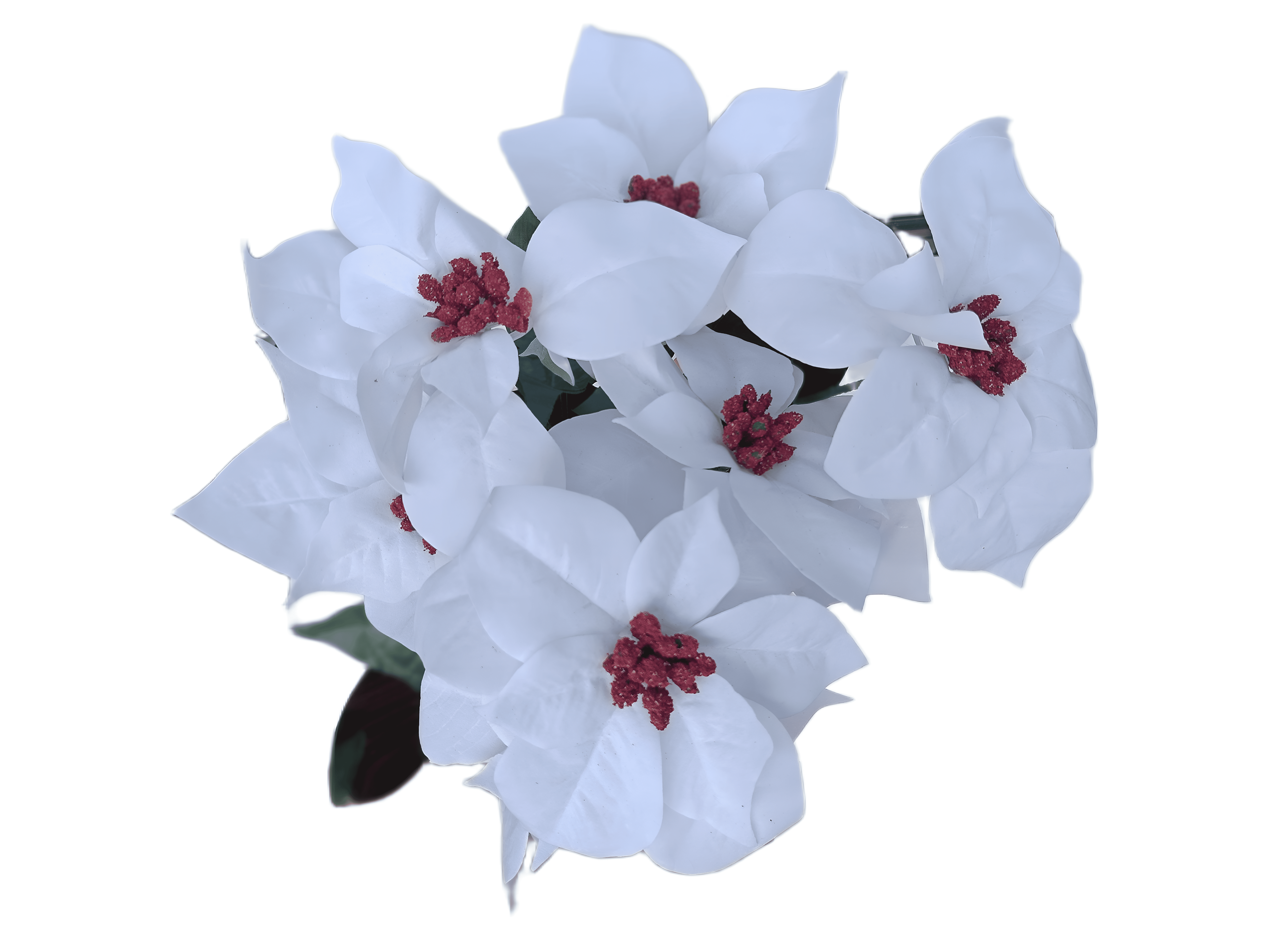 Holiday Time 17" White Velvet Artificial Christmas Poinsettia Plant in Gold Foil Wrapped Pot