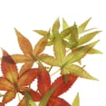 thumbnail image 3 of Plantas de Simulación Gloria Hoja de Arce Artificial Verde Rojo 65cm, 3 of 9