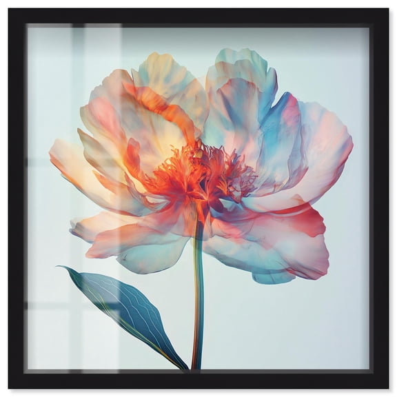Peony Phases Shadowbox Print Floral Wall Decor by Art Remedy, Black Frame, 12 x 12