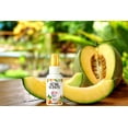 thumbnail image 3 of Bowl Scents Cucumber Melon Toilet Spray | 2 oz + Traveler Unit | Prevents Nasty Poop Smell, 3 of 8