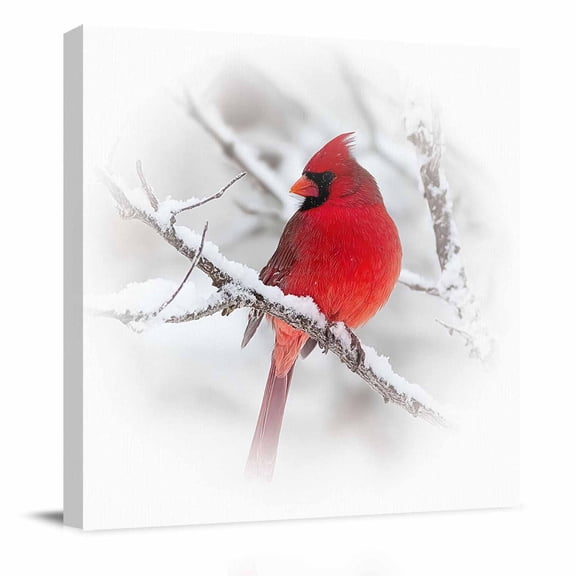 Canvas Print Wall Art Oil Paintings Christmas Cardinal Bird Picture Prints Artwork for Living Room Kitchen Bathroom Bedroom