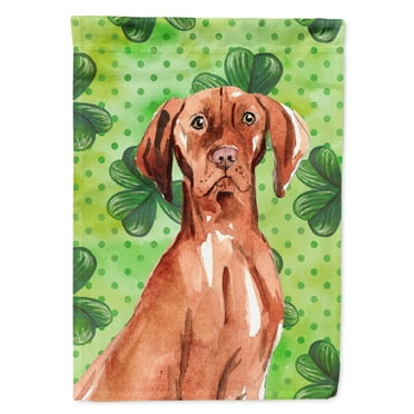 Carolines Treasures CK1803GF Shamrocks Vizsla Flag Garden Size  Small multicolor