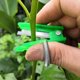 thumbnail image 5 of Cuchillos para pulgar de jardín, cuchillas seguras para frutas, tijeras de podar para jardín, herramientas para recoger, 2 uds. brillar Electrónica, 5 of 5