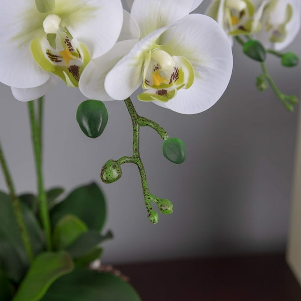 Decorative flower Orchid Stems Artificial Flowers Real Touch Latex Faux Phalaenopsis Branches 9